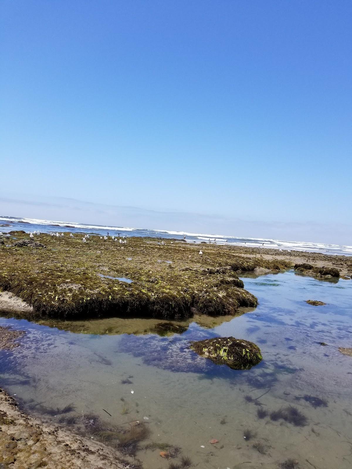 Sandee Playa De La Tranquilidad
