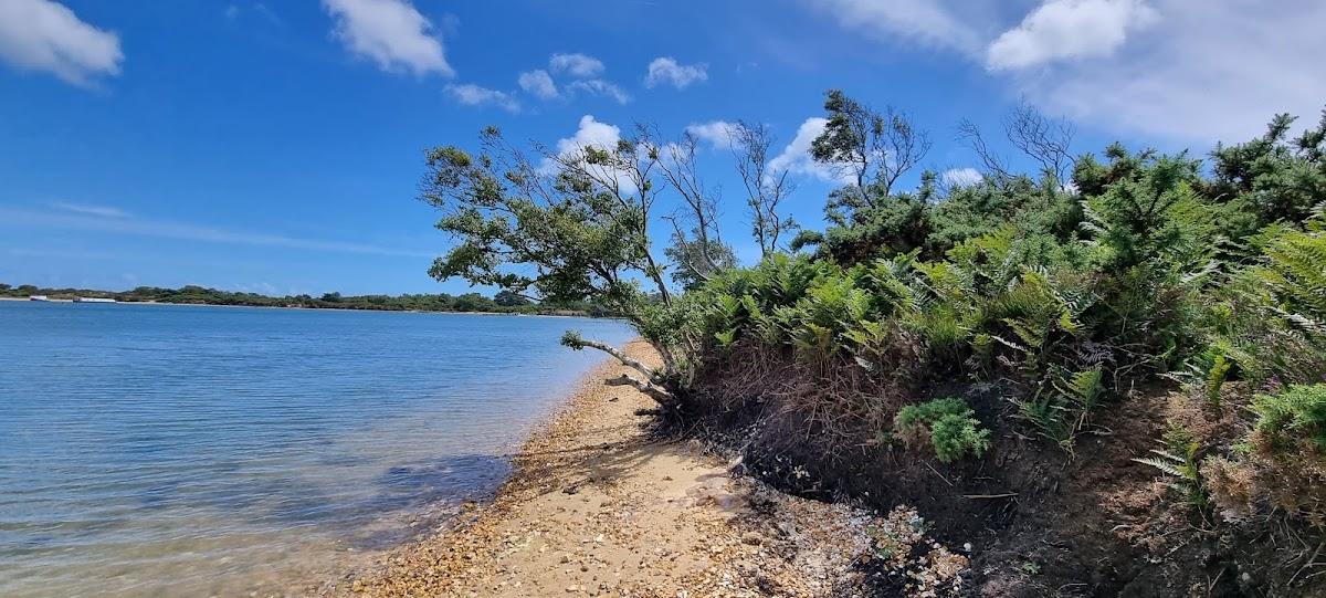 Sandee Bramble Bush Bay Beach Photo