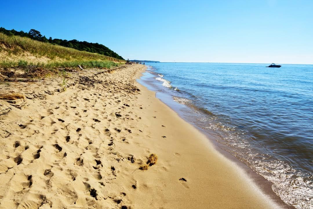 Sandee - Saugatuck Dunes State Park Shoreline Beach