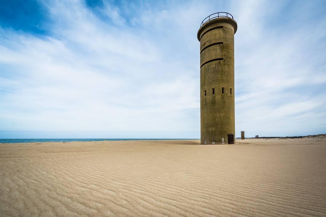 Sandee Cape Henlopen State Park Photo