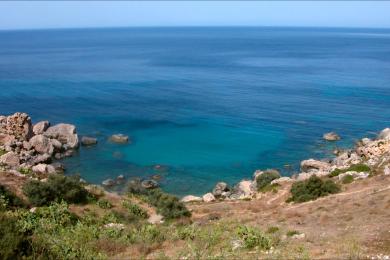 Sandee Dahlet Qorrot Beach Photo