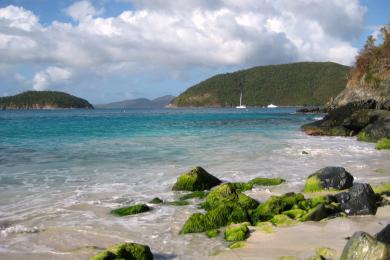 Sandee Cinnamon Bay Photo