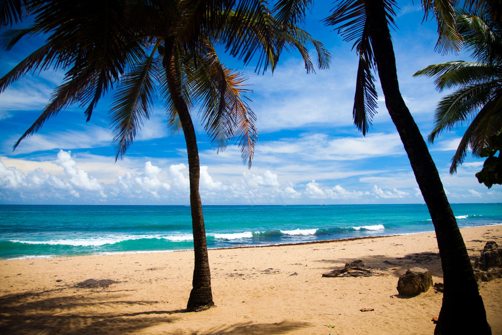 Sandee - Condado Beach