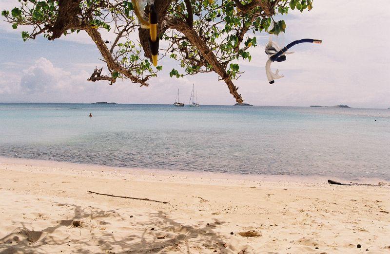 Sandee - Carlos Rosario Beach