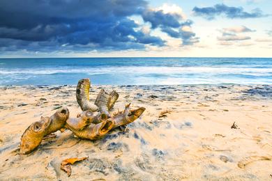 Sandee Mahanoro Beach