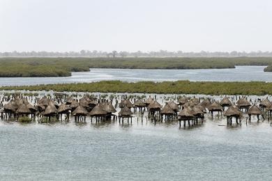 Sandee - Plage De Joal-Fadiouth