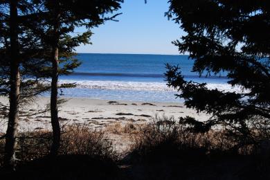 Sandee Bayswater Beach Provincial Park