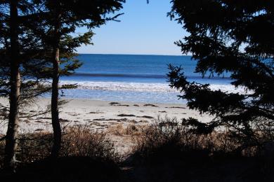 Sandee Bayswater Beach Provincial Park Photo