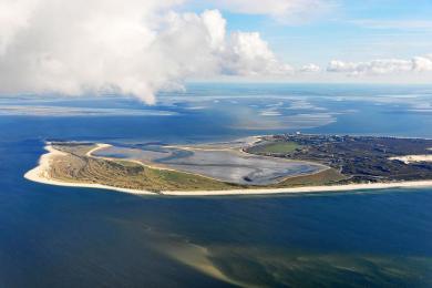 Sandee St. Peter Ording