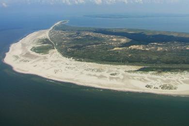 Sandee Amrum Beach Photo