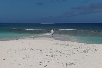 Sandee - Sandy Island