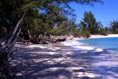 Sandee Sandy Cay Beach