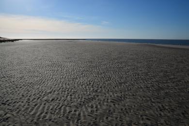 Sandee Wangerooge Beach