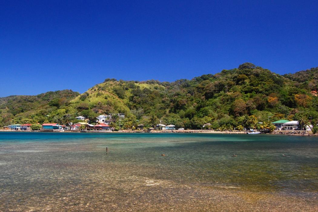 Sandee Camp Bay Beach