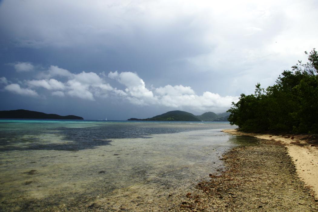 Sandee Leinster Bay