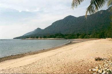 Sandee - Damai Beach