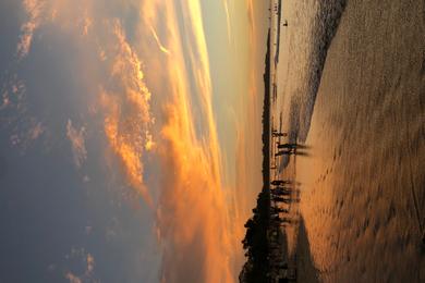 Sandee - Tamarindo Beach