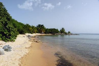 Sandee Green Beach