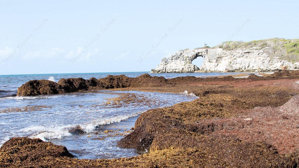 Sandee - Gilligan's Island Beach