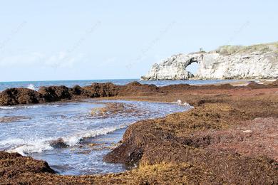 Sandee Gilligan's Island Beach
