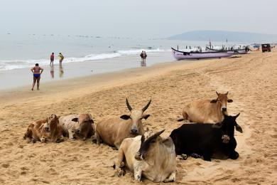 Sandee Bogmalo Beach
