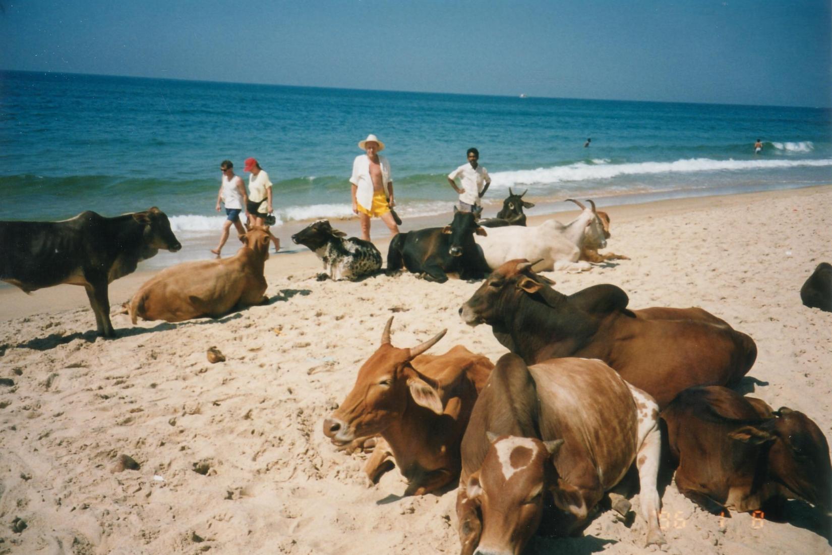 Sandee - Bogmalo Beach