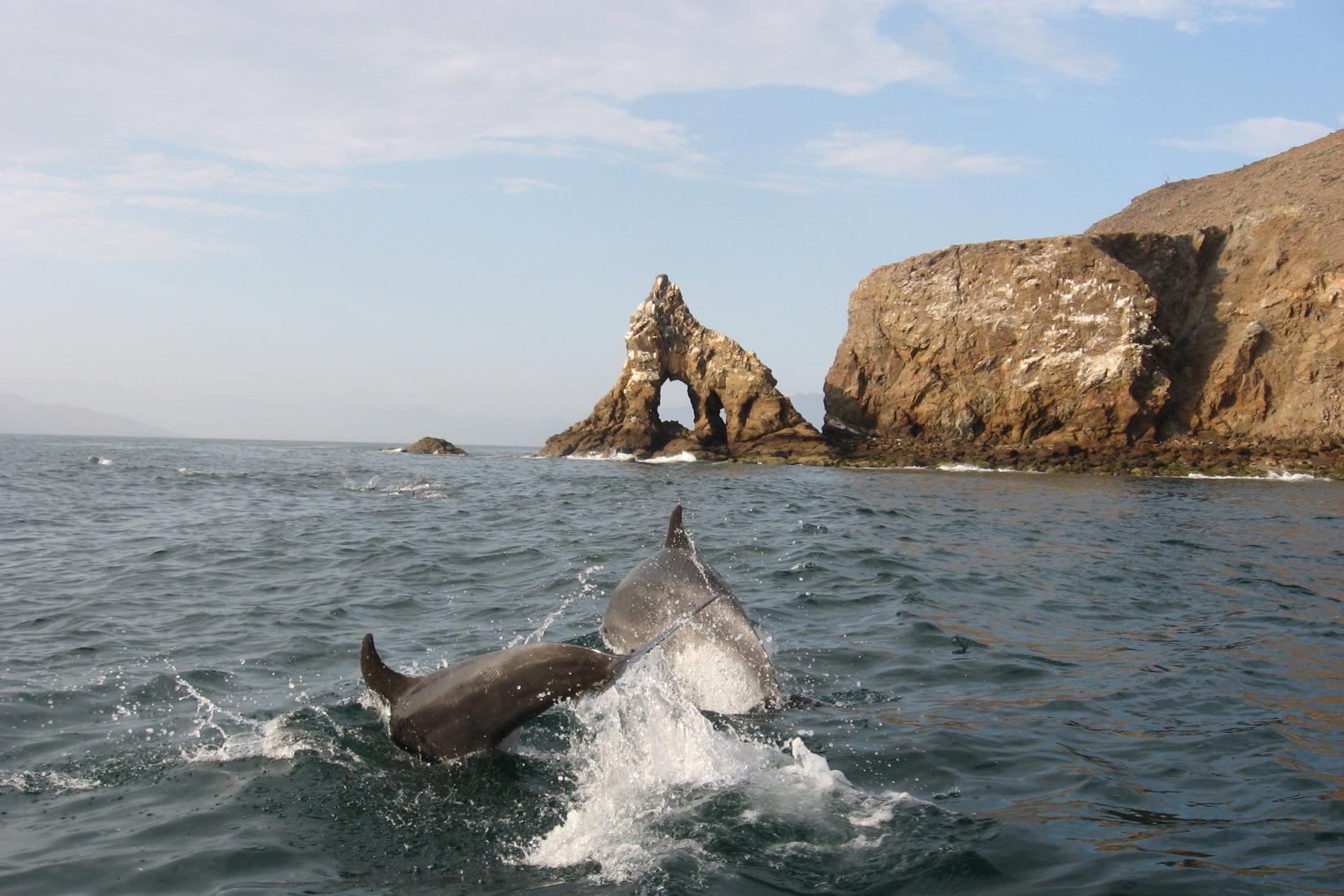 Bahia de los Angeles Photo - Sandee