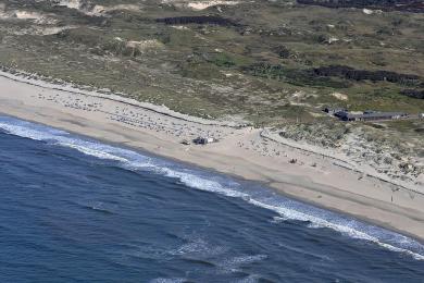 Sandee Norderney Beach