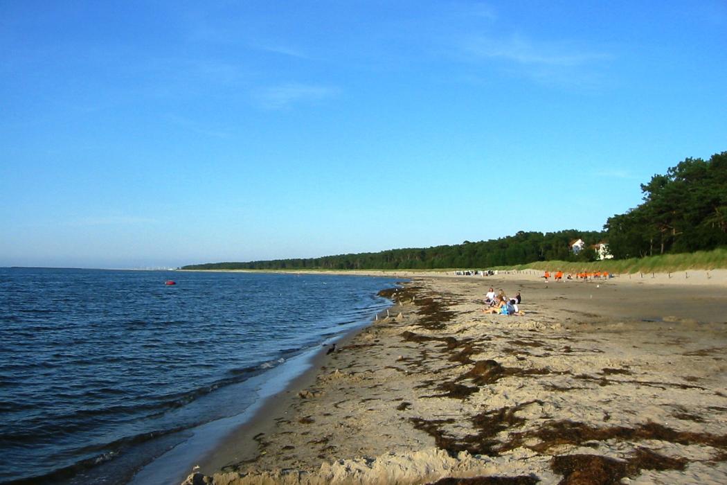 Sandee Lubmin Beach Photo