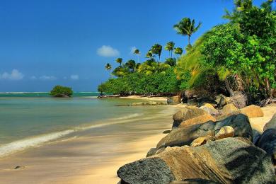 Sandee Coco Beach Photo