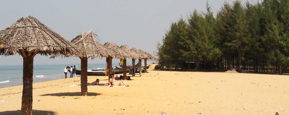 Sandee Cherai Beach