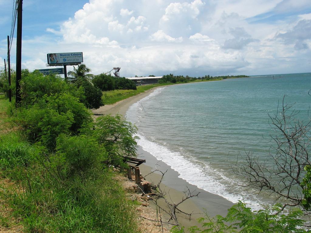 Sandee - El Tuque Beach