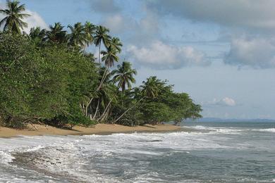 Sandee Steps Beach