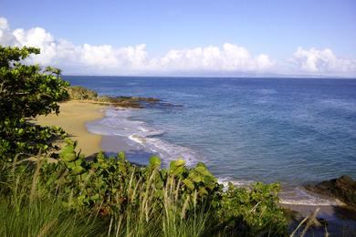 Sandee Gallito Beach