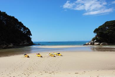 Sandee - Bioluminescent Mosquito Bay