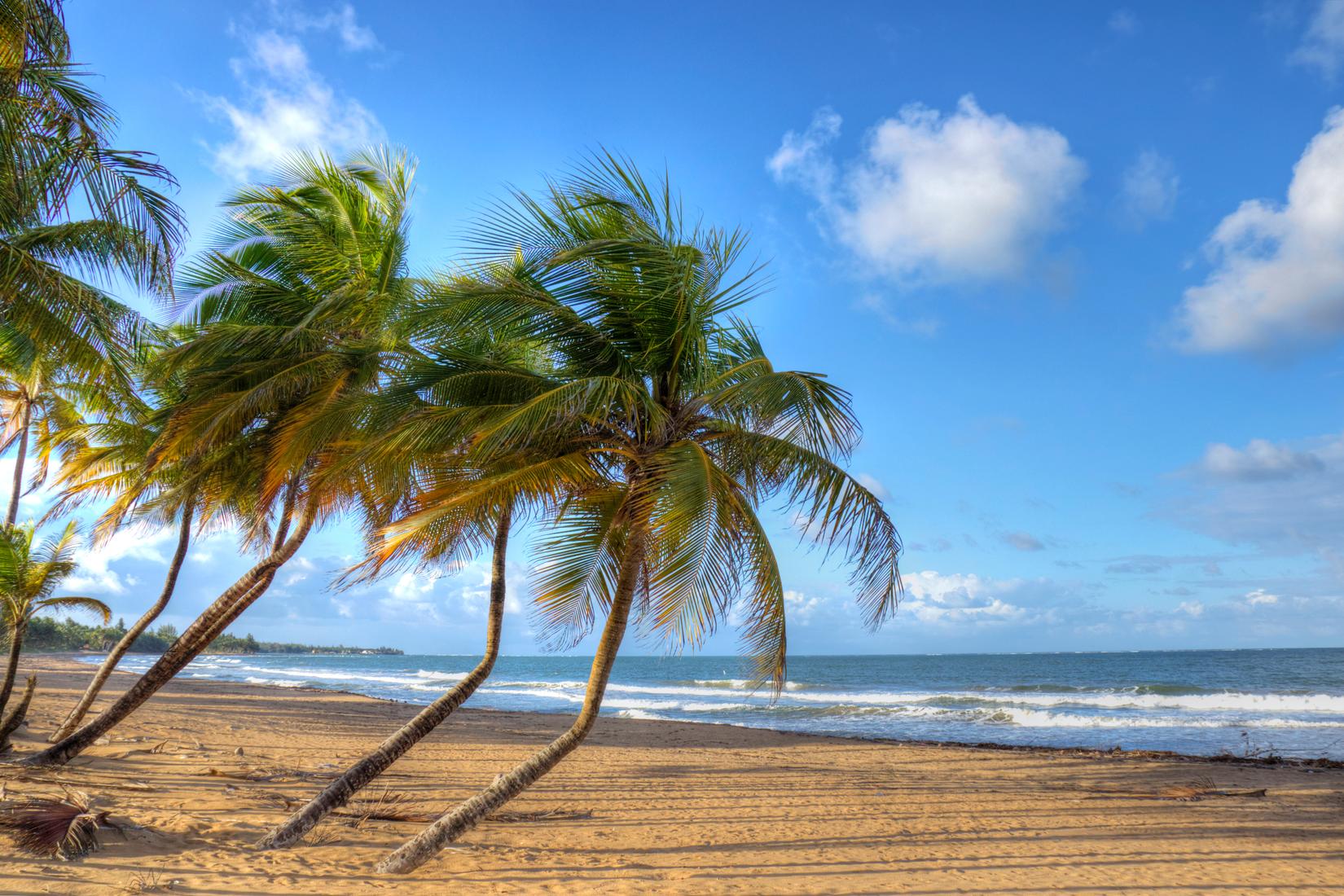 Sandee - Playa Fortuna Beach