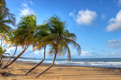 Sandee Playa Fortuna Beach