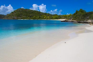Sandee Green Island Beach