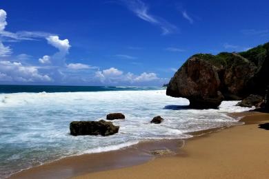 Sandee Survival Beach