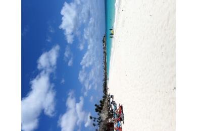 Sandee - Manchebo Beach