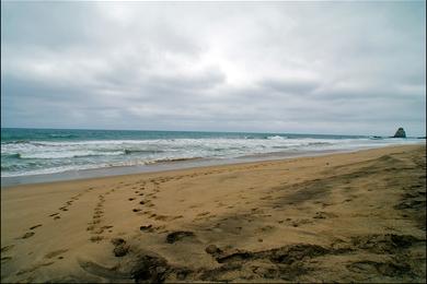 Sandee - San Lorenzo Beach