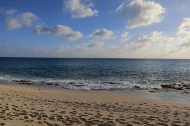 Sandee Prunes Bay Beach Photo