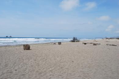 Sandee Ayampe Beach