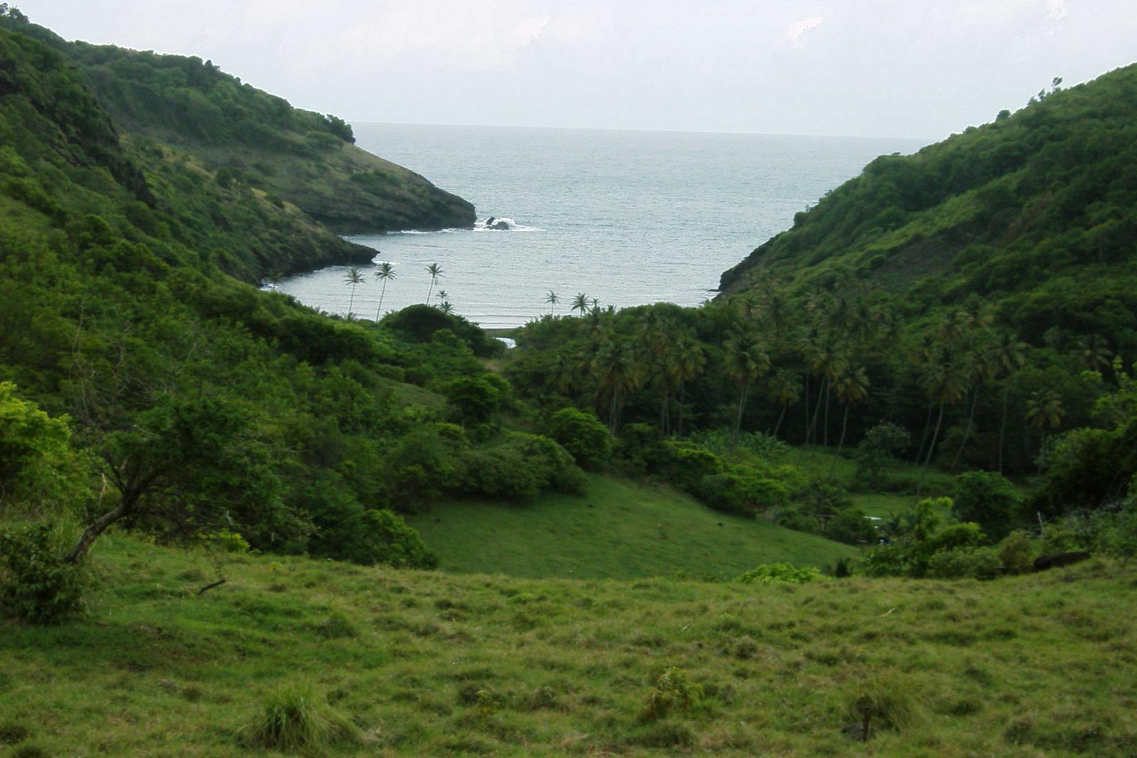 Isla Caguache Photo - Sandee