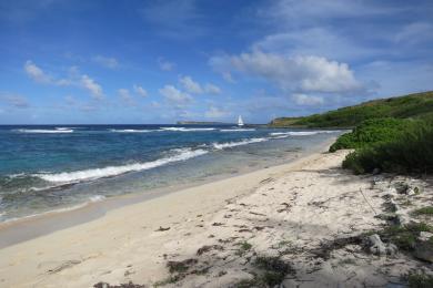 Sandee - Pinel Island