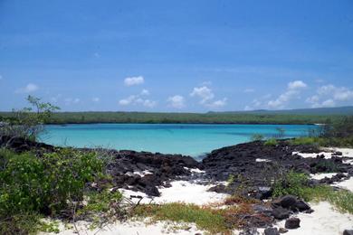 Sandee Manglecito Beach