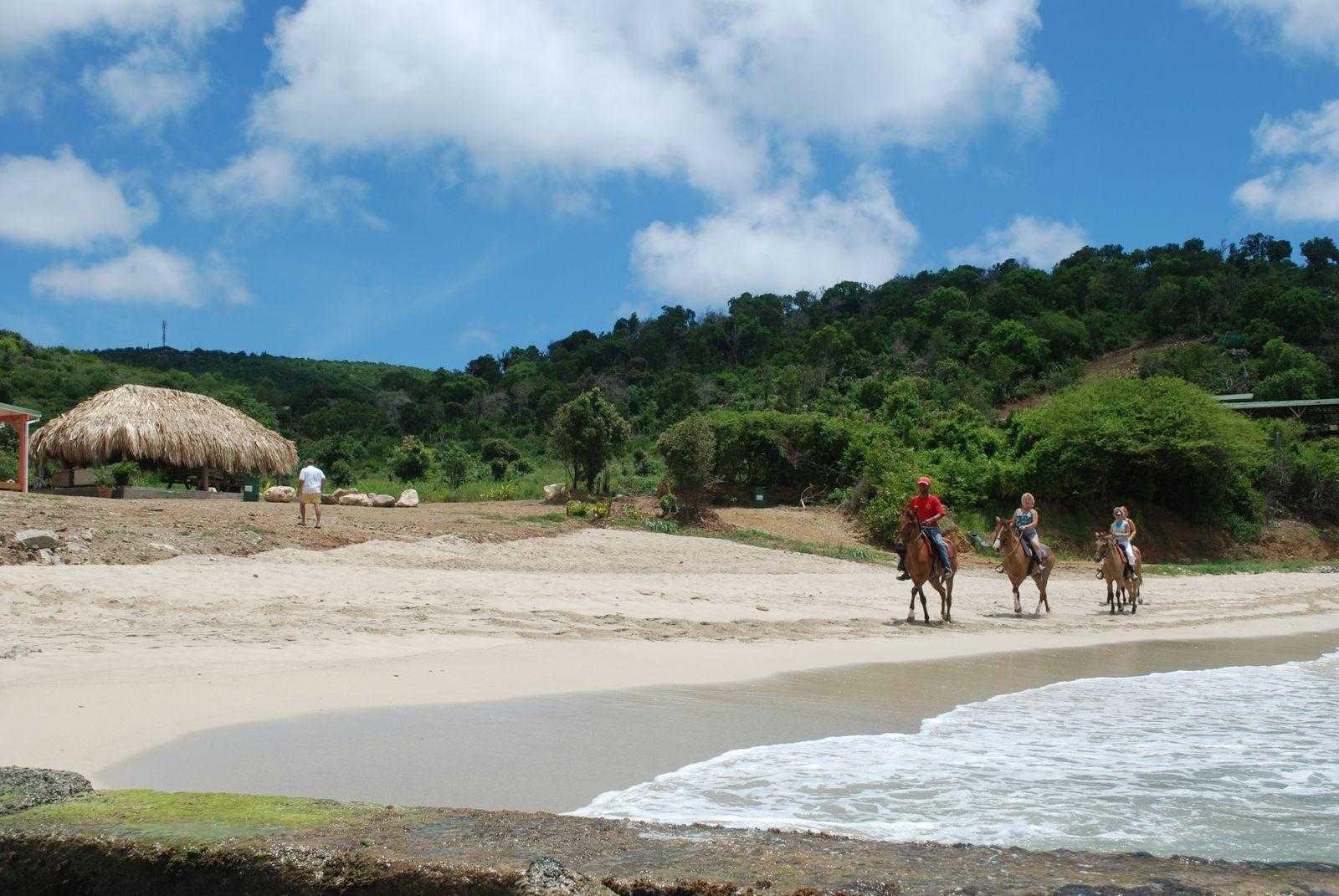 Sandee - Cole Bay Beach