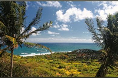 Sandee St. Kitts Deep Water Port