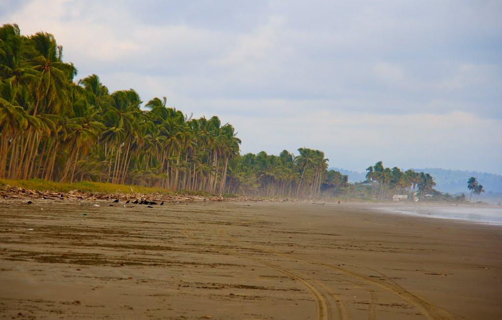 Sandee - Muisne Beach