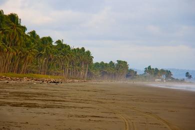 Sandee - Muisne Beach